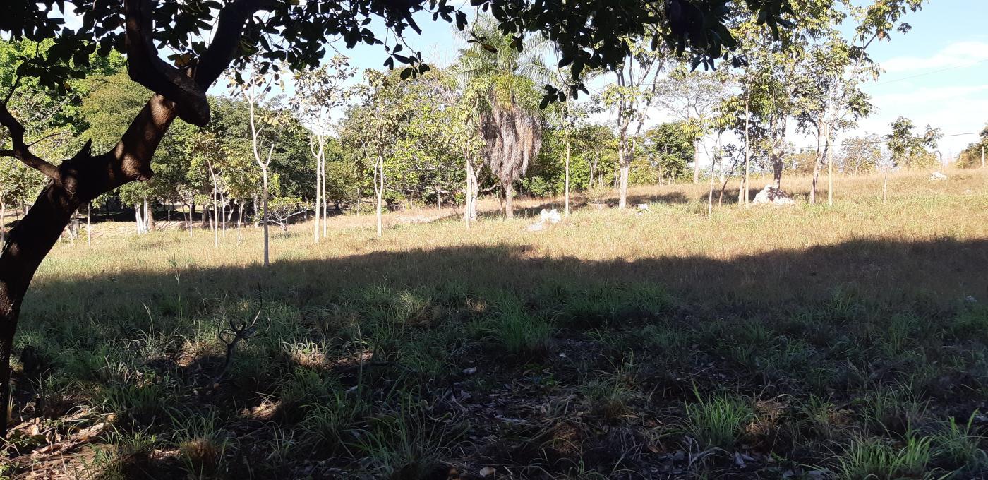Chácara à venda com 3 quartos, 30000m² - Foto 37