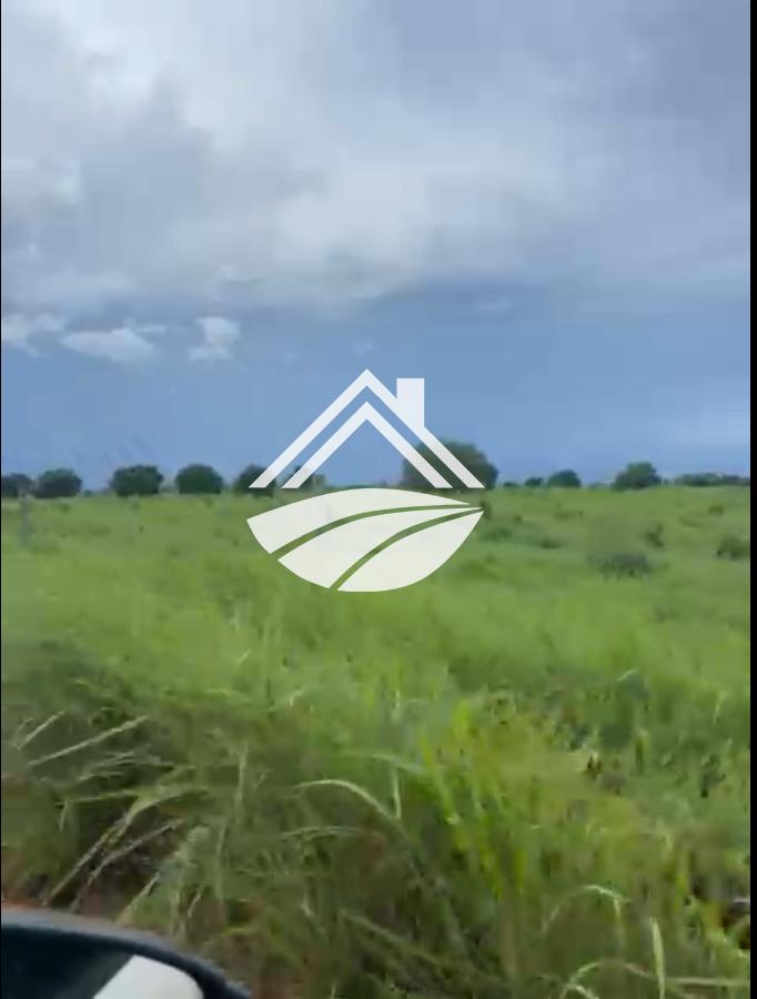 Fazenda para alugar, 1m² - Foto 2