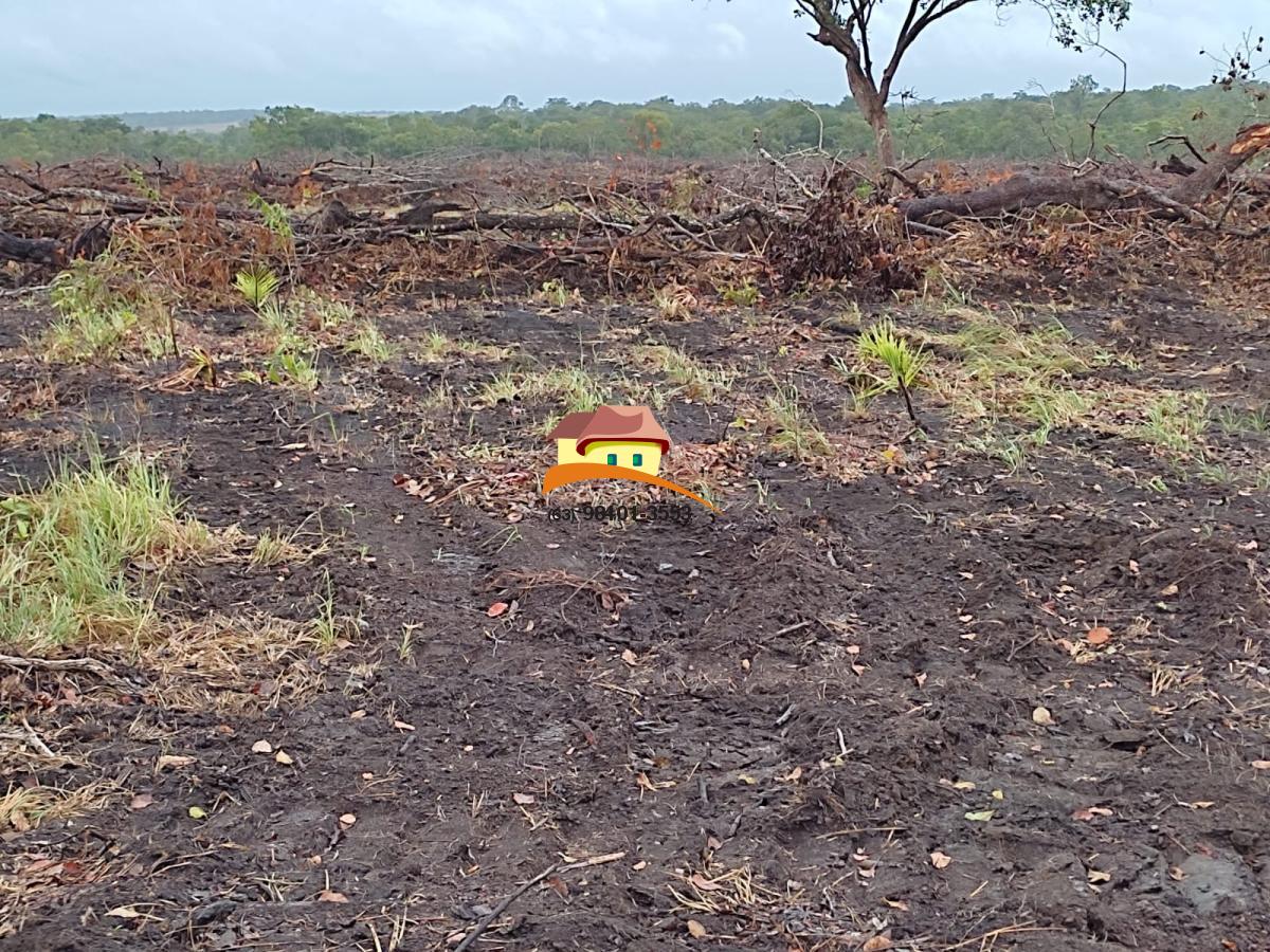 Fazenda à venda, 1m² - Foto 8