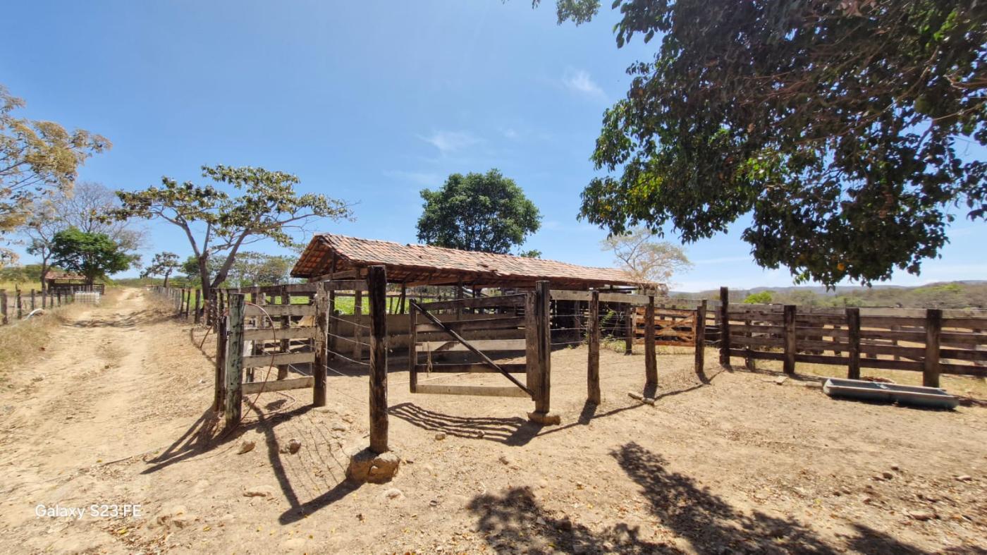 Fazenda à venda com 4 quartos, 1180000m² - Foto 29