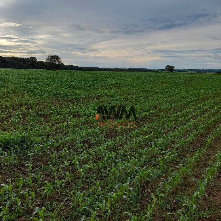 Fazenda à venda com 2 quartos, 387200M2 - Foto 14