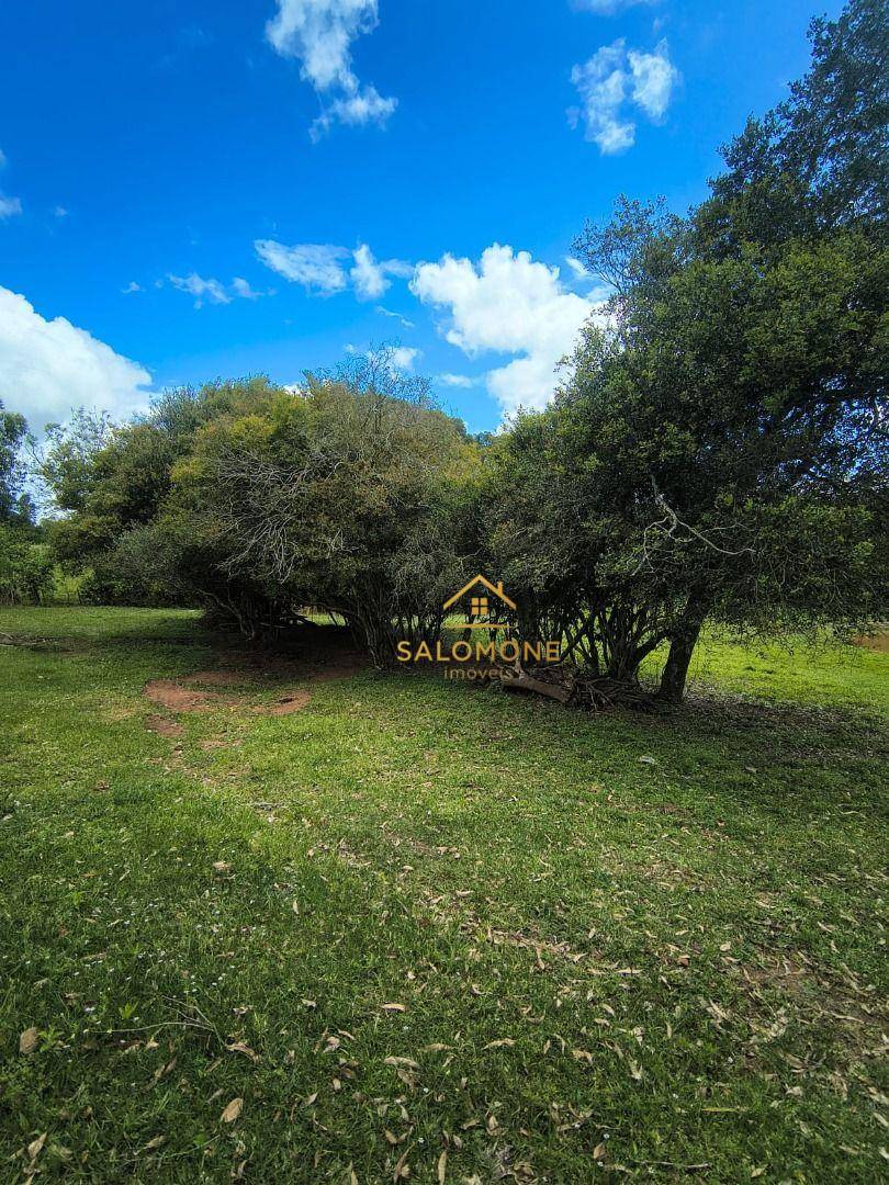 Sítio, 2 quartos, 2 hectares - Foto 4