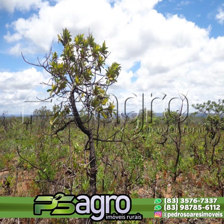 Fazenda à venda, 18300000M2 - Foto 8