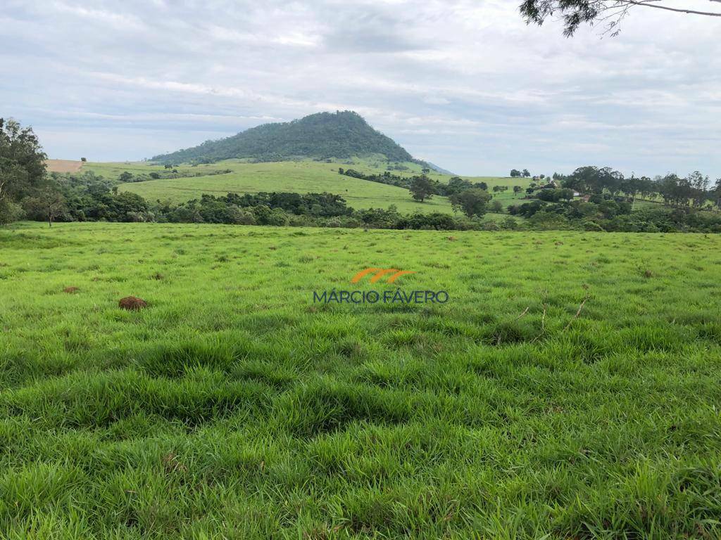 Fazenda à venda, 5808000M2 - Foto 1