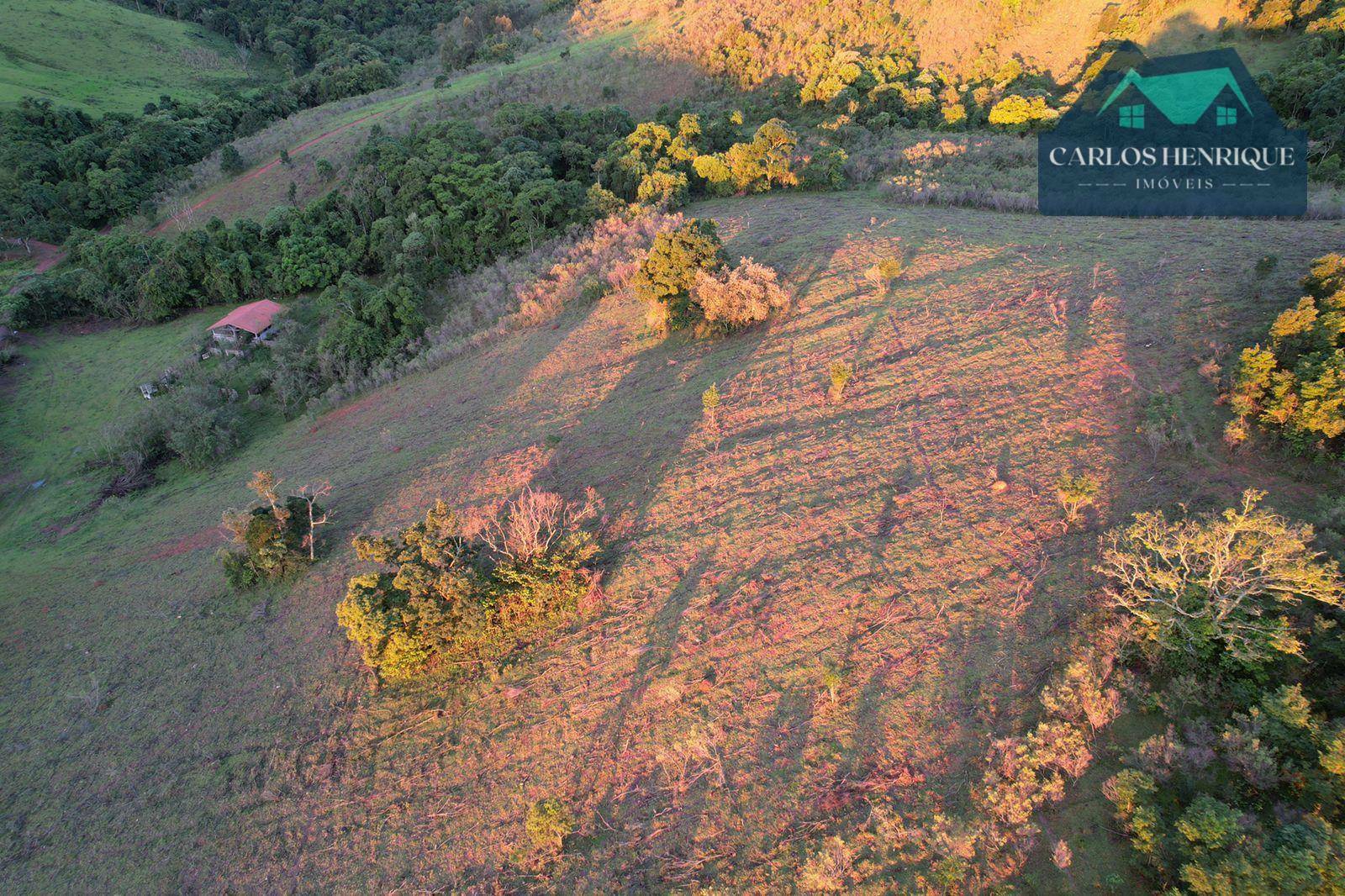 Terreno à venda, 20000M2 - Foto 48