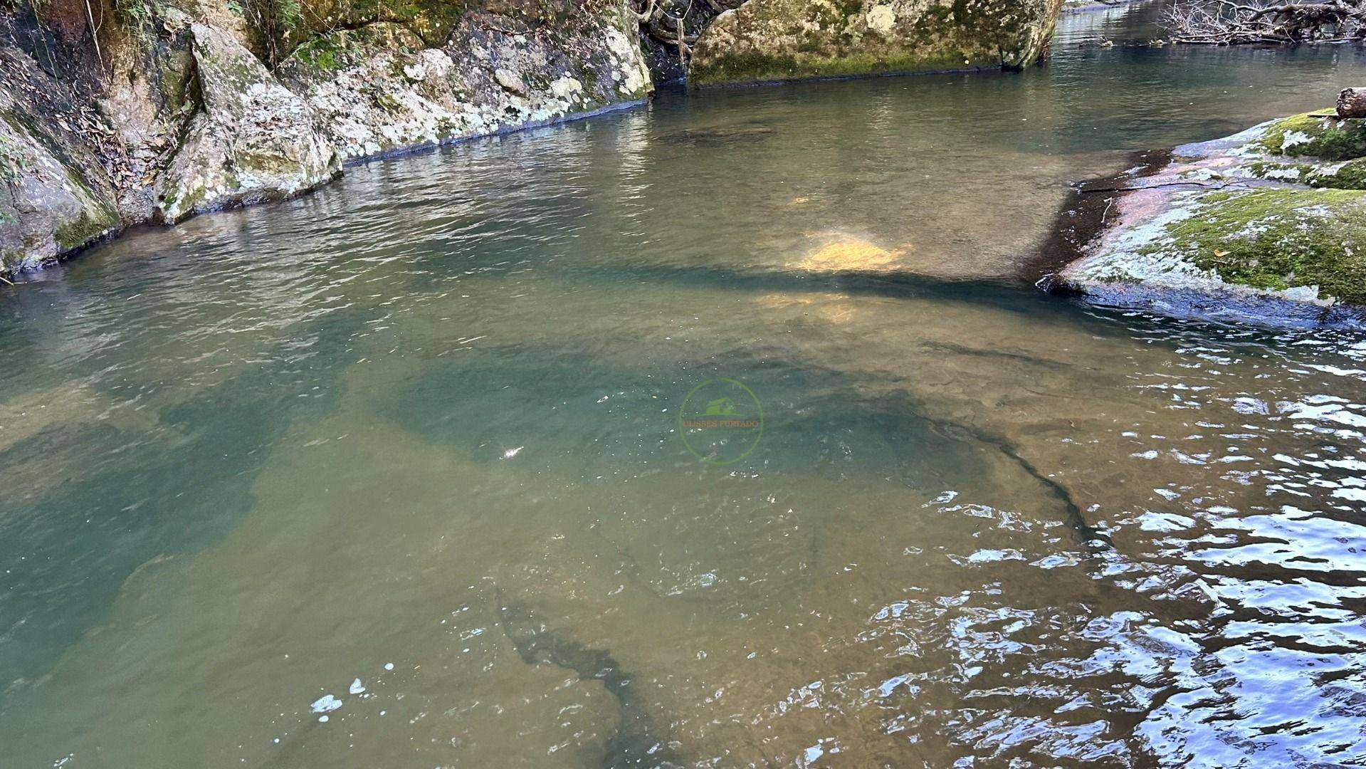 Sítio, 19 hectares - Foto 55