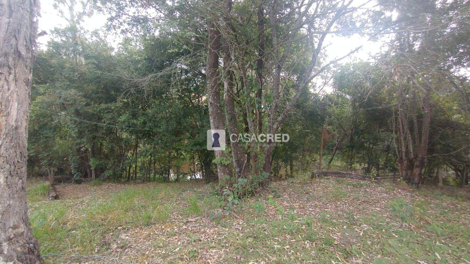 Chácara à venda com 3 quartos, 70m² - Foto 3