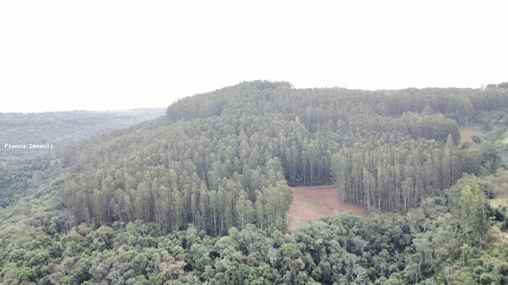 Loteamento e Condomínio, 35 hectares - Foto 3