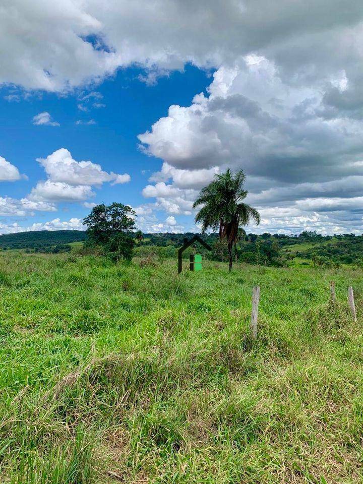 Fazenda, 83 hectares - Foto 3