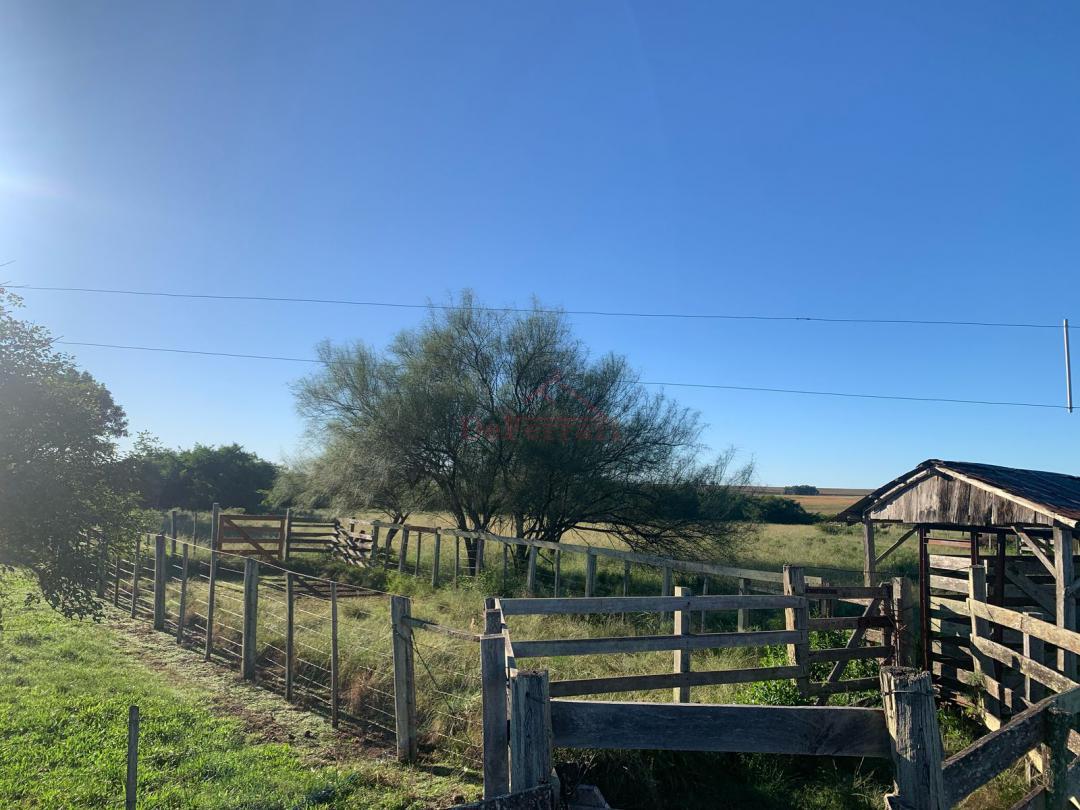 Fazenda-Sítio-Chácara - Foto 7