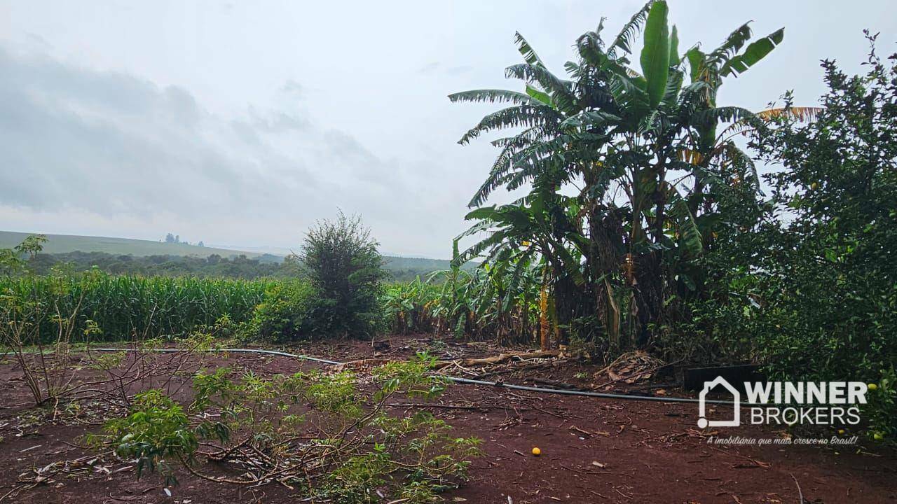 Sítio à venda com 3 quartos, 411400M2 - Foto 11