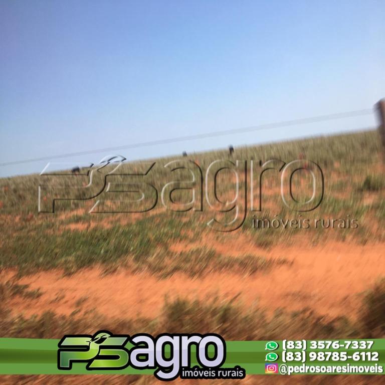Fazenda-Sítio-Chácara, 5000 hectares - Foto 2