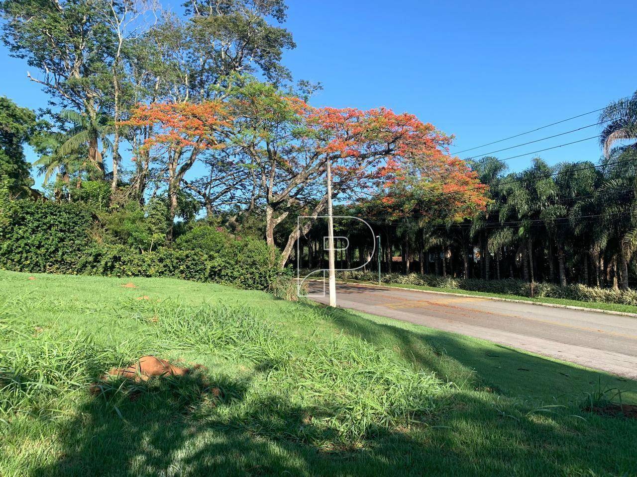 Loteamento e Condomínio à venda, 1235M2 - Foto 8