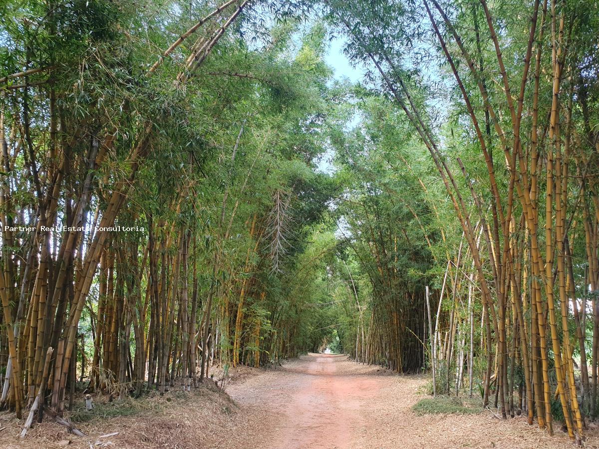 Fazenda à venda com 10 quartos, 85m² - Foto 30