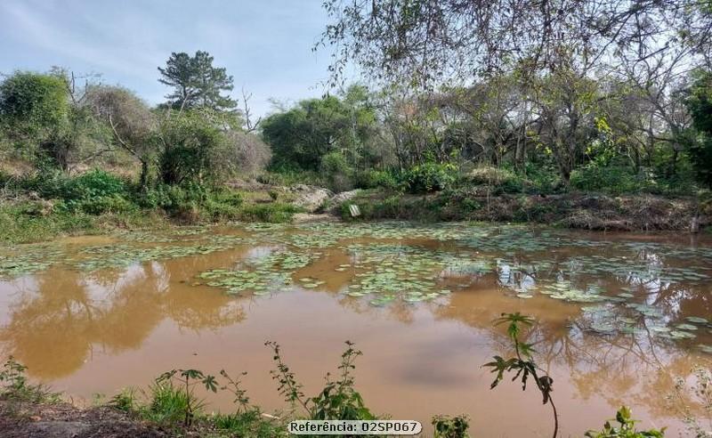 Fazenda à venda com 2 quartos, 100000m² - Foto 10