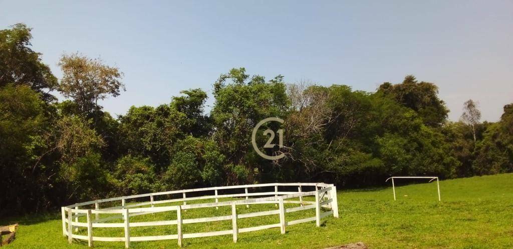 Haras e Área Rural Padrão à venda com 16 quartos, 2400m² - Foto 10
