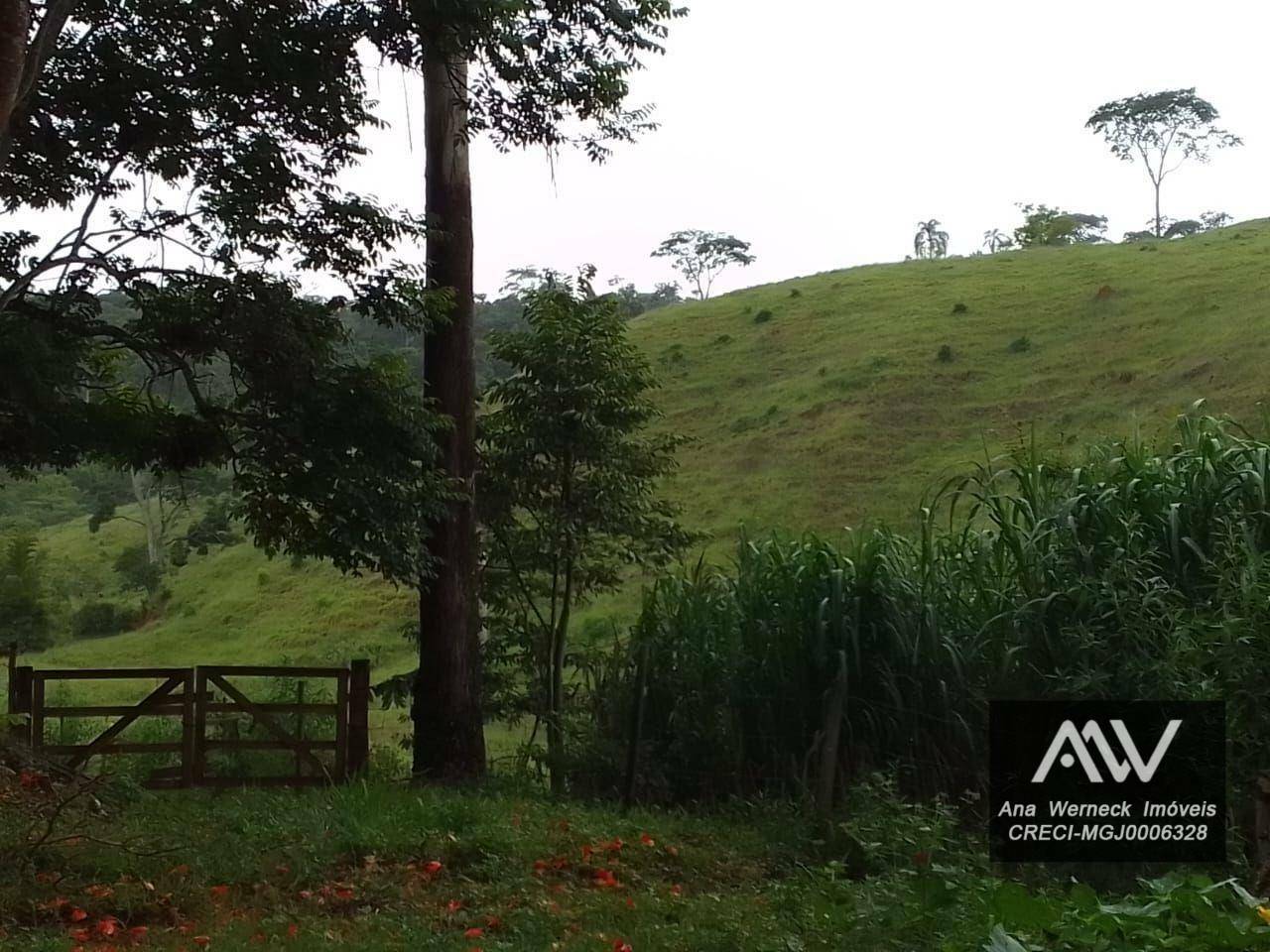 Chácara à venda com 1 quarto, 150000M2 - Foto 4