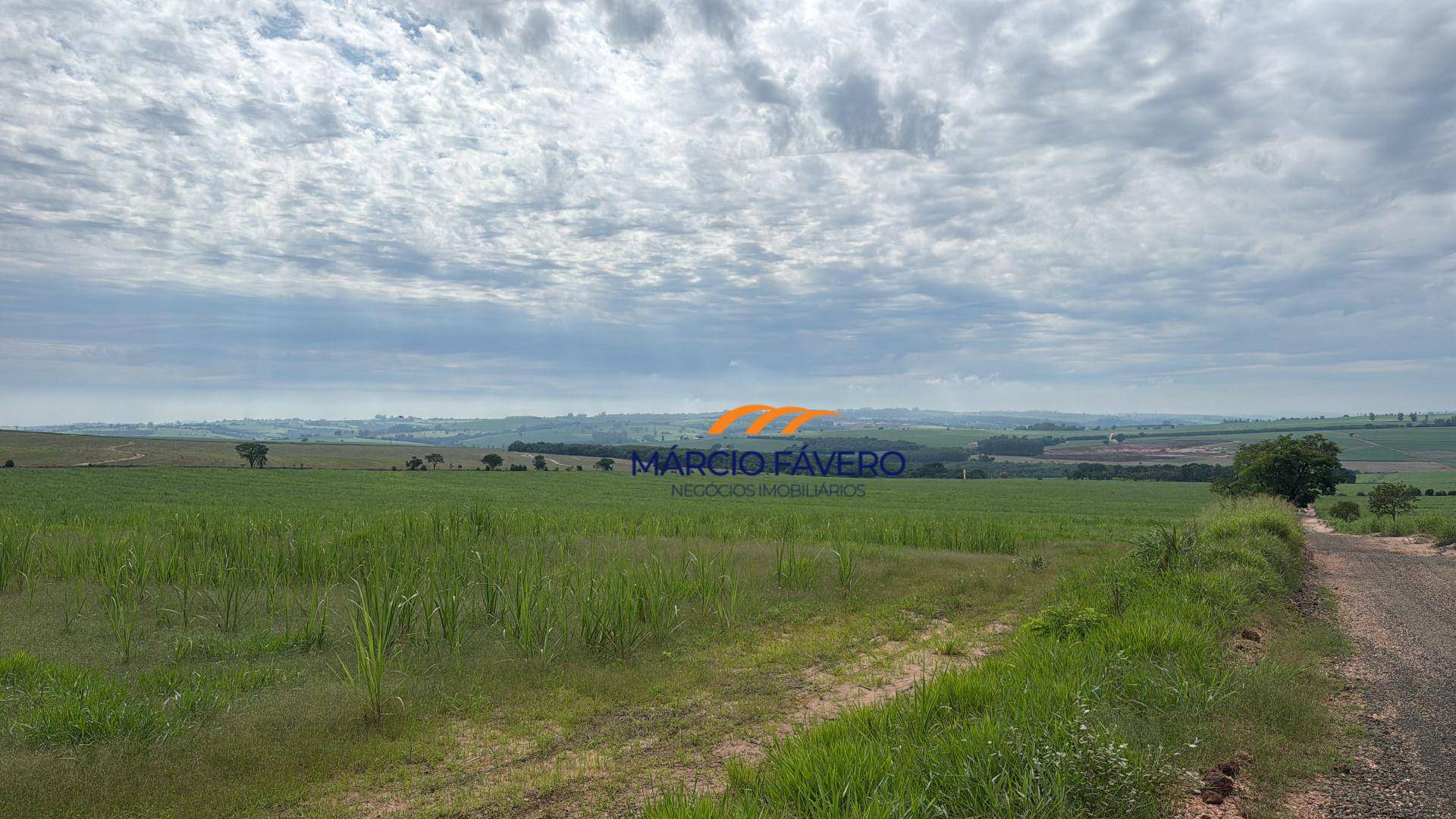 Sítio, 85 hectares - Foto 2