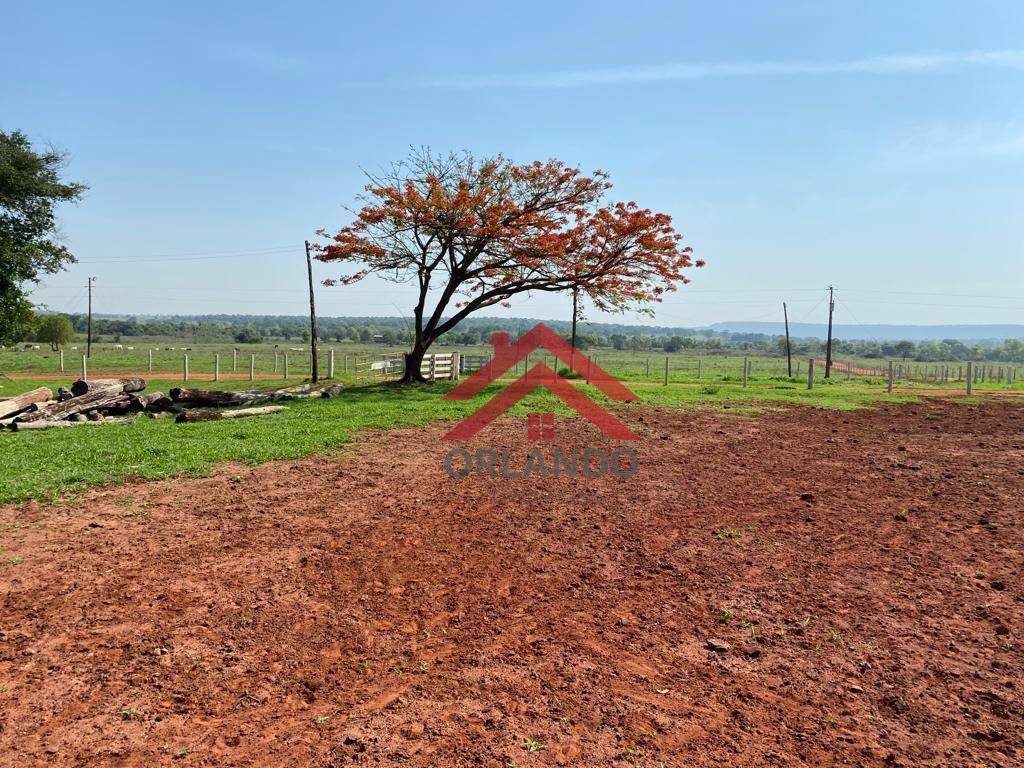 Fazenda à venda com 3 quartos, 2420000M2 - Foto 5