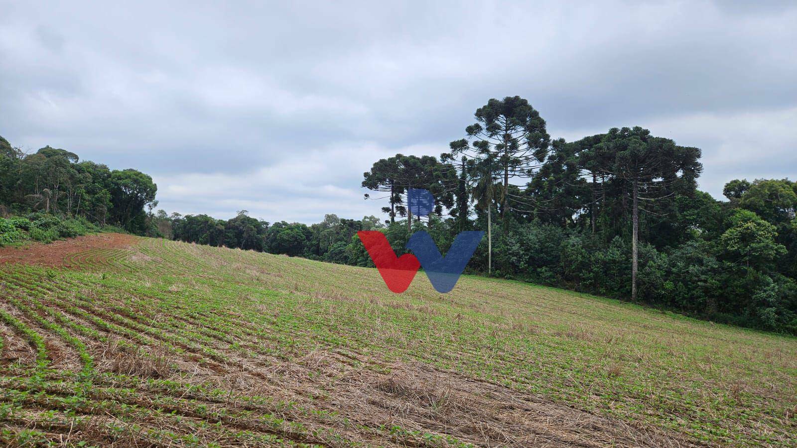 Fazenda à venda com 3 quartos, 1694000M2 - Foto 24