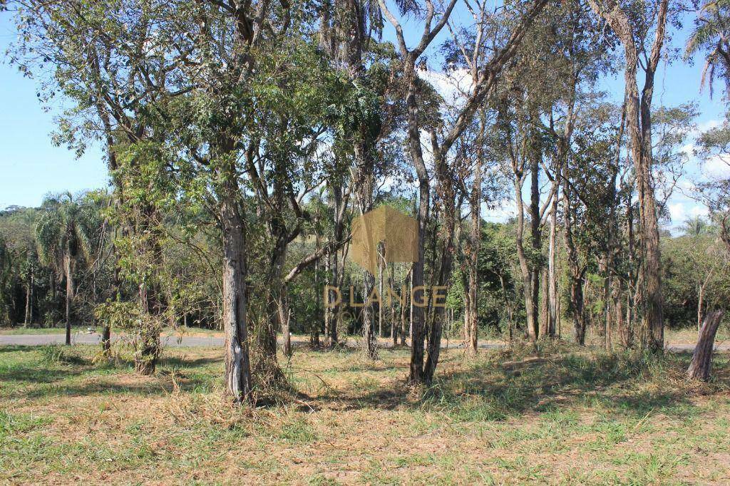 Loteamento e Condomínio à venda, 1000M2 - Foto 11