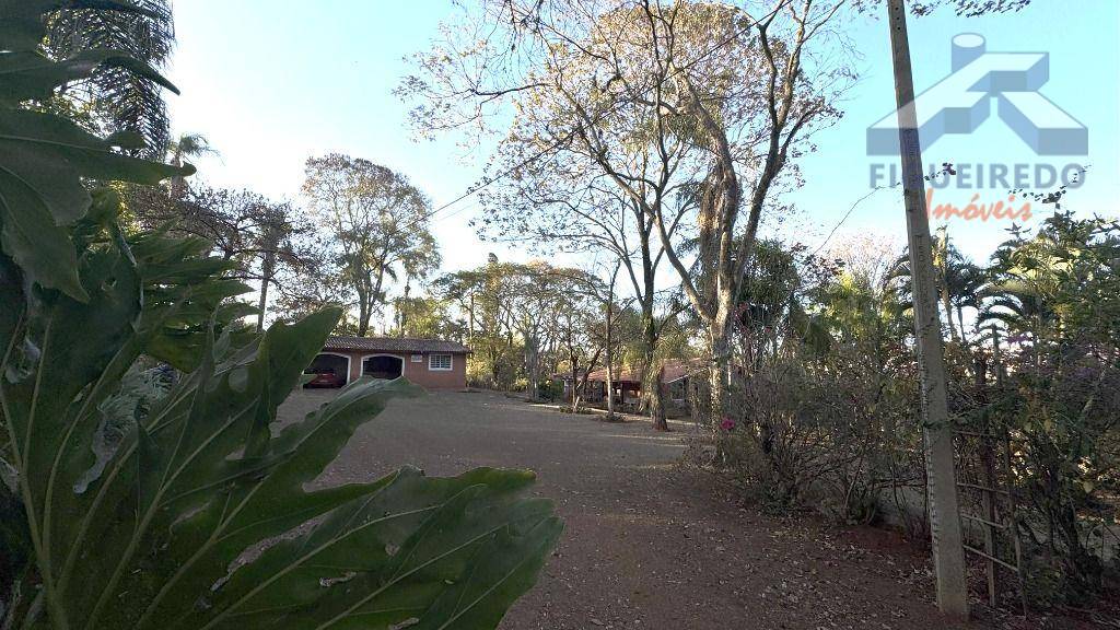 Sítio, 4 hectares - Foto 8