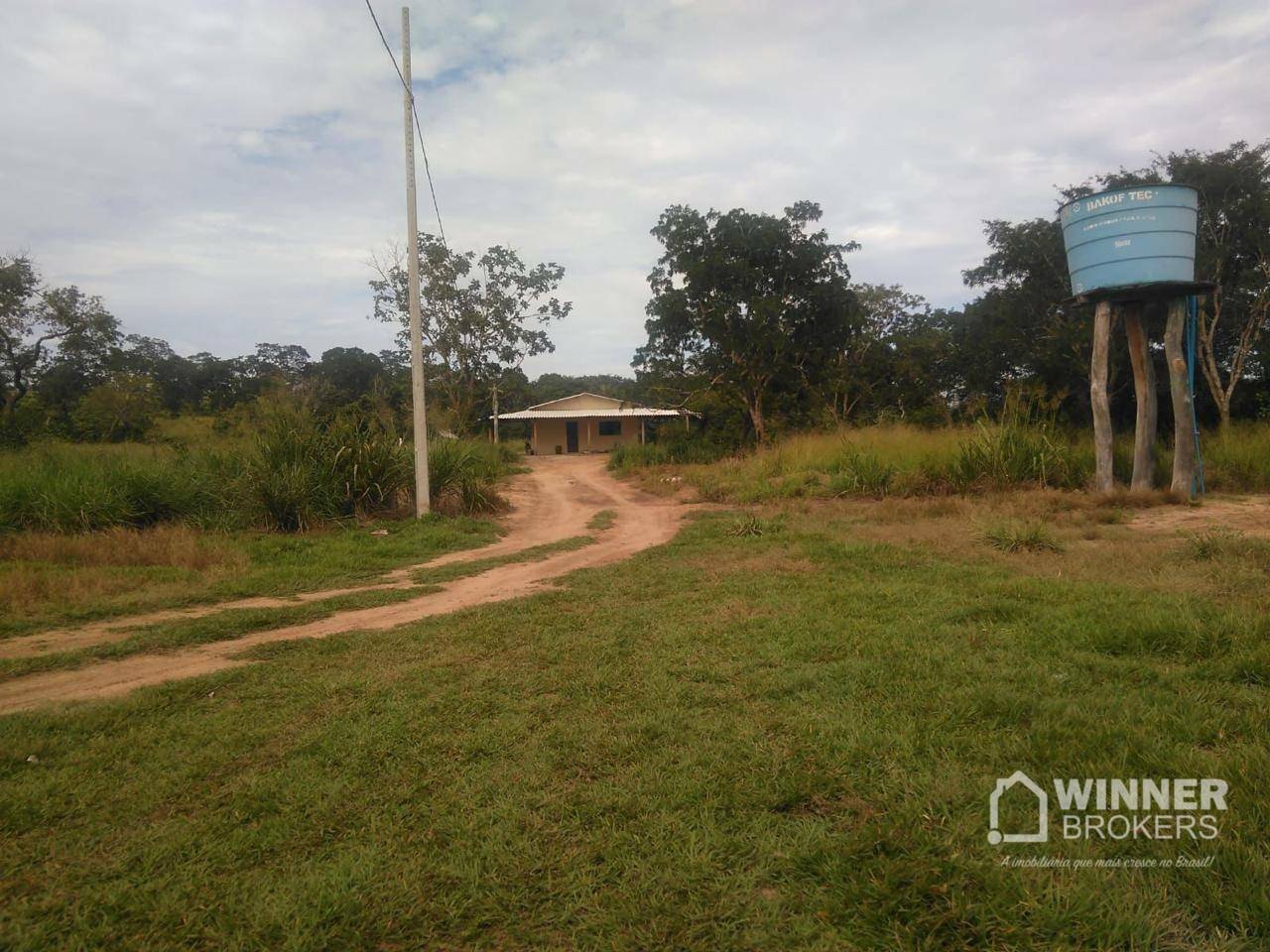 Fazenda-Sítio-Chácara, 1287 hectares - Foto 4