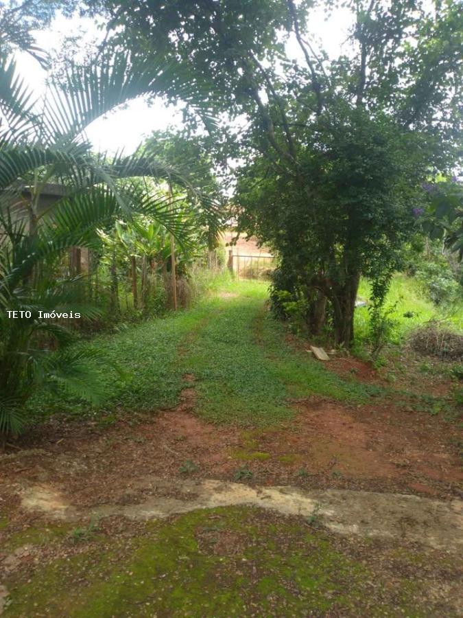 Chácara, 3 quartos, 6000 m² - Foto 4