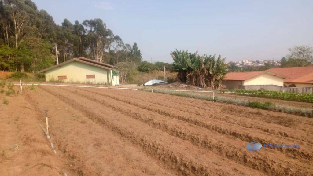 Chácara à venda com 2 quartos, 15000M2 - Foto 8