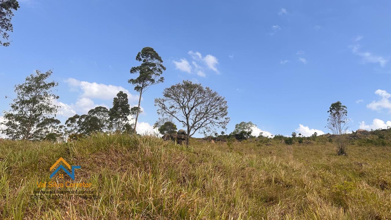 Terreno à venda, 15231m² - Foto 3