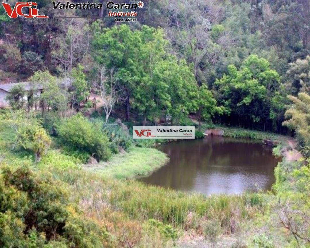 Haras e Área Rural Padrão à venda com 6 quartos, 2600m² - Foto 36