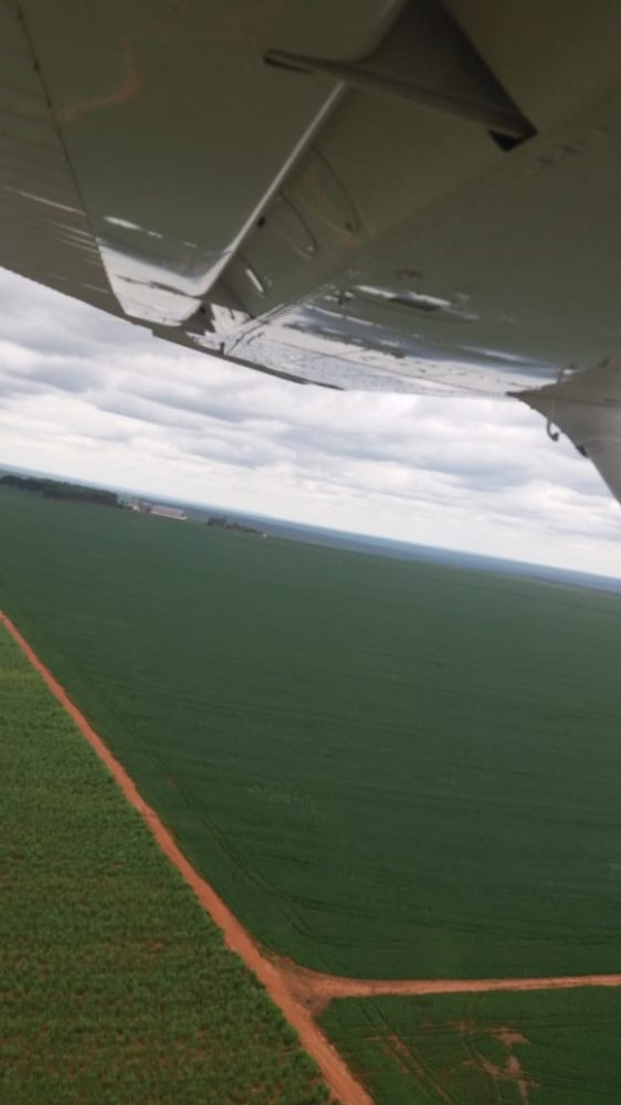 Fazenda-Sítio-Chácara, 103000 hectares - Foto 3