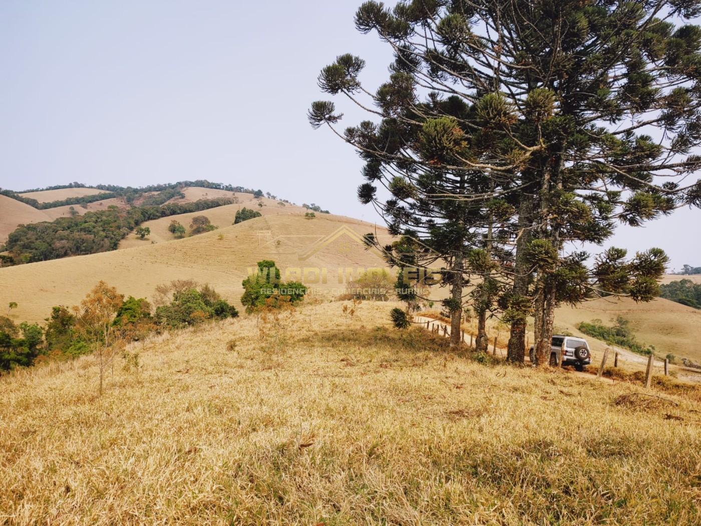 Terreno à venda, 20000m² - Foto 16