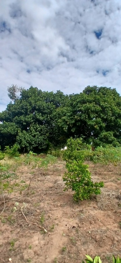 Sítio à venda com 3 quartos, 67000m² - Foto 34