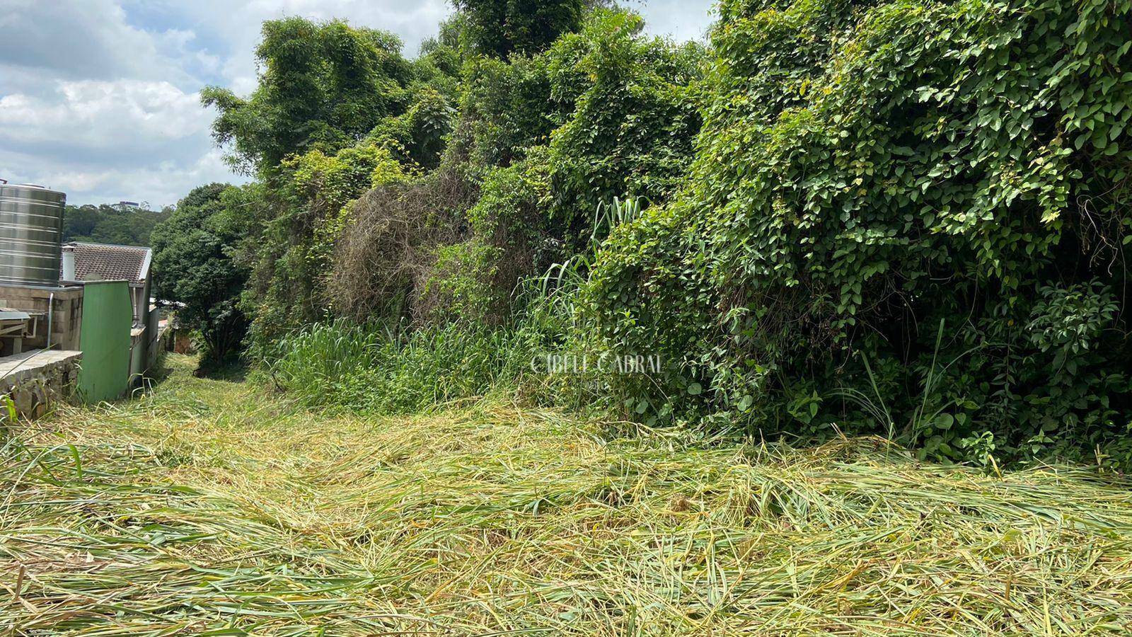 Terreno à venda, 5000M2 - Foto 1