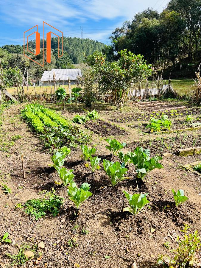 Chácara à venda, 10000m² - Foto 45