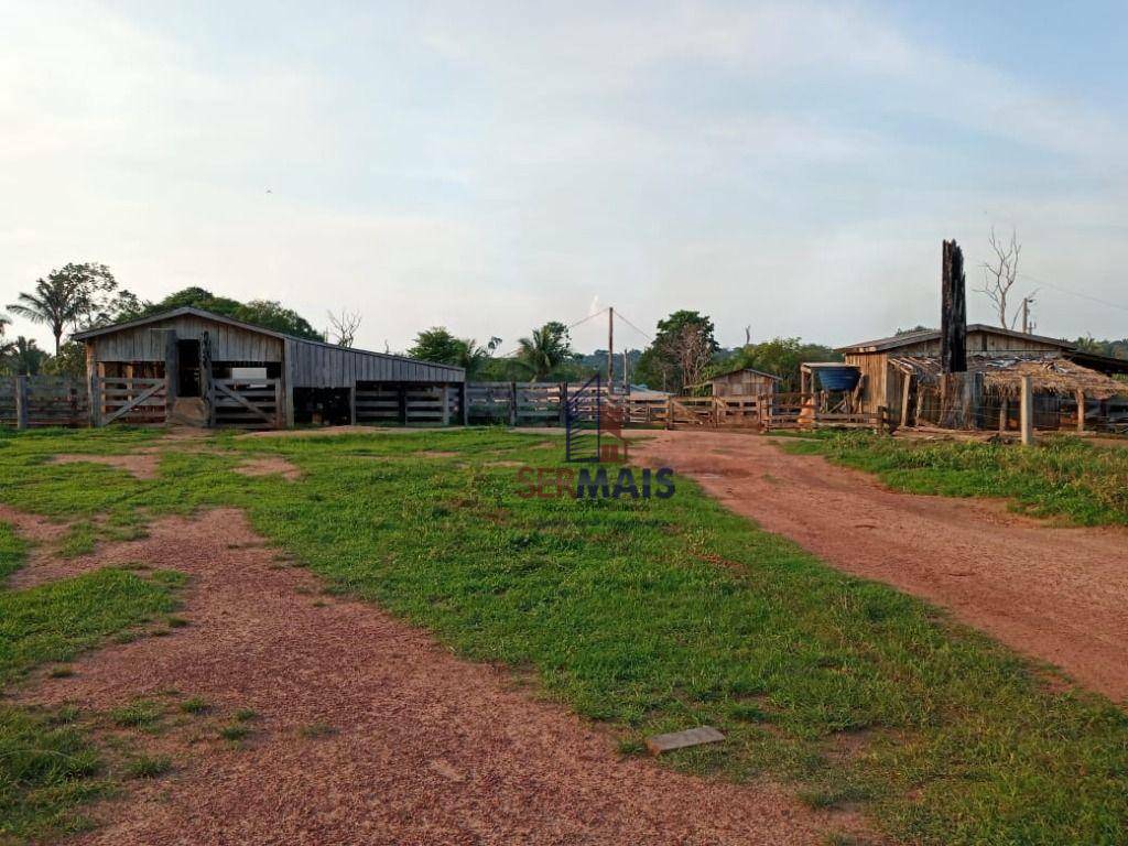 Fazenda-Sítio-Chácara, 600 hectares - Foto 3