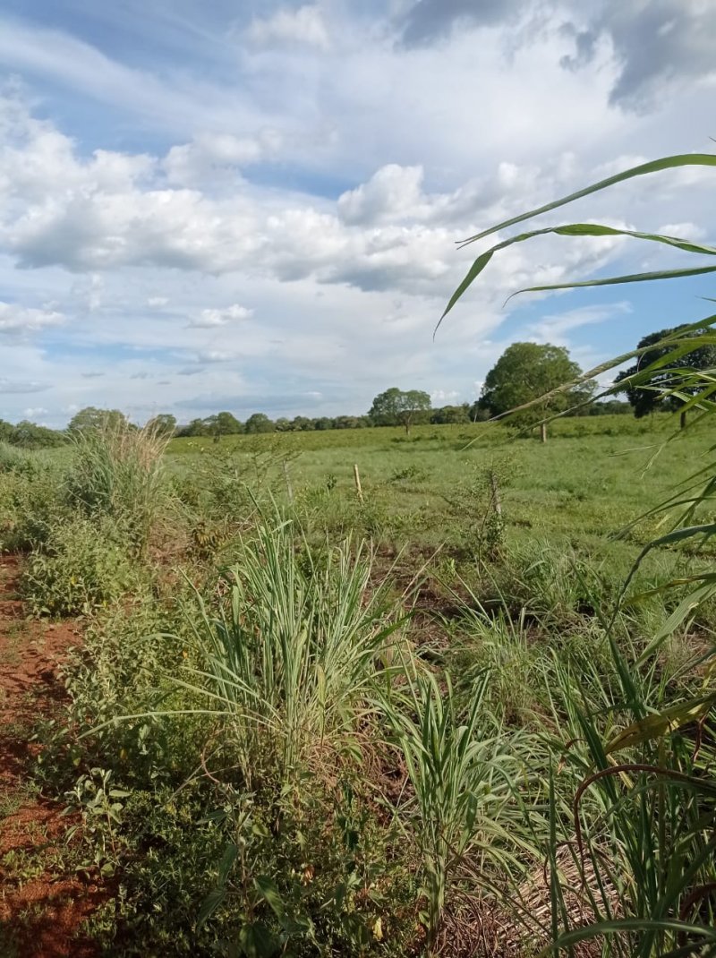 Fazenda à venda, 250m² - Foto 5