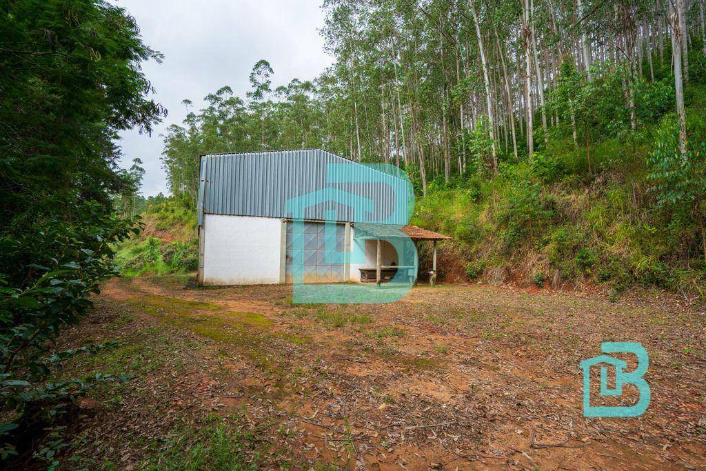 Fazenda à venda com 2 quartos, 300m² - Foto 3