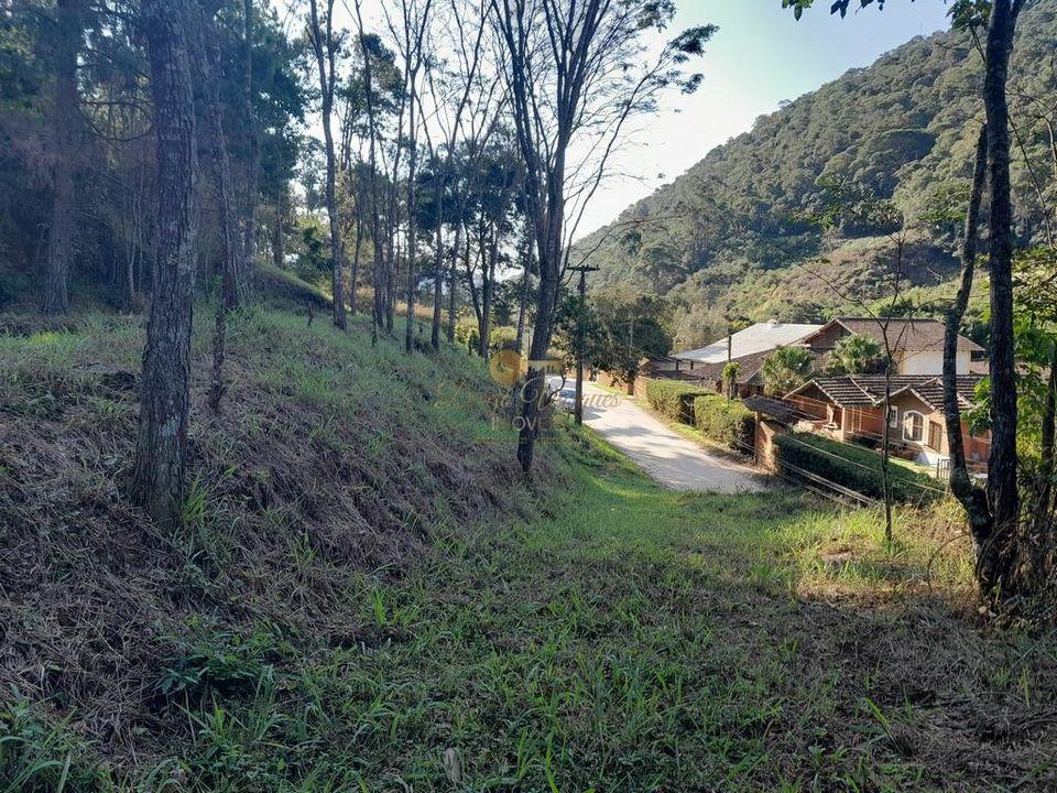 Sítio à venda com 4 quartos, 29000m² - Foto 63