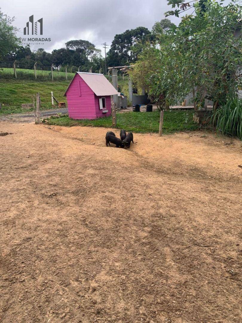 Chácara à venda com 2 quartos, 90m² - Foto 26