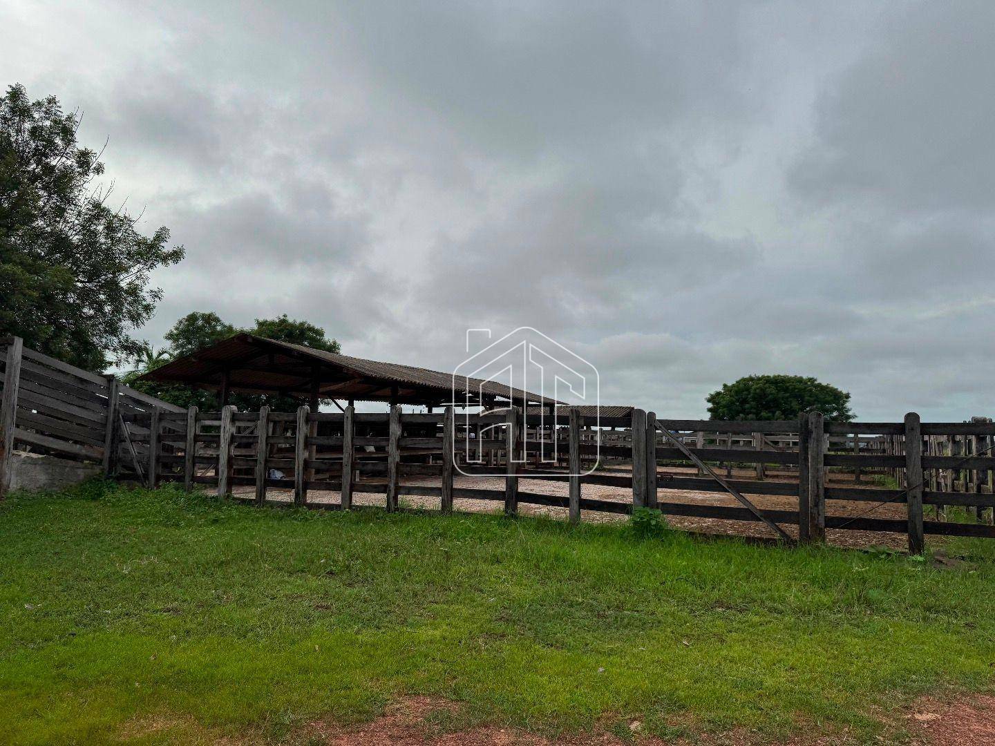 Fazenda à venda com 3 quartos, 26600000M2 - Foto 21