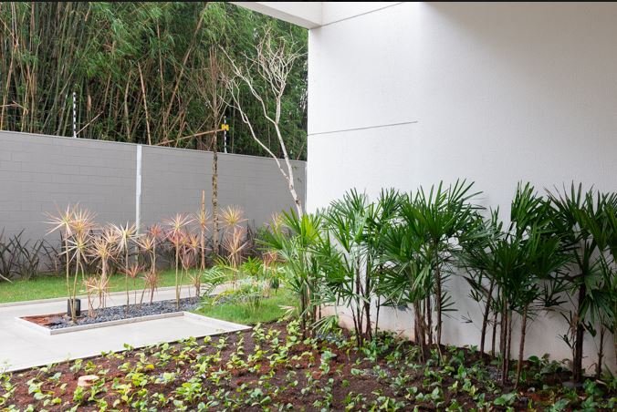 Apartamento à venda com 3 quartos, 68m² - Foto 16