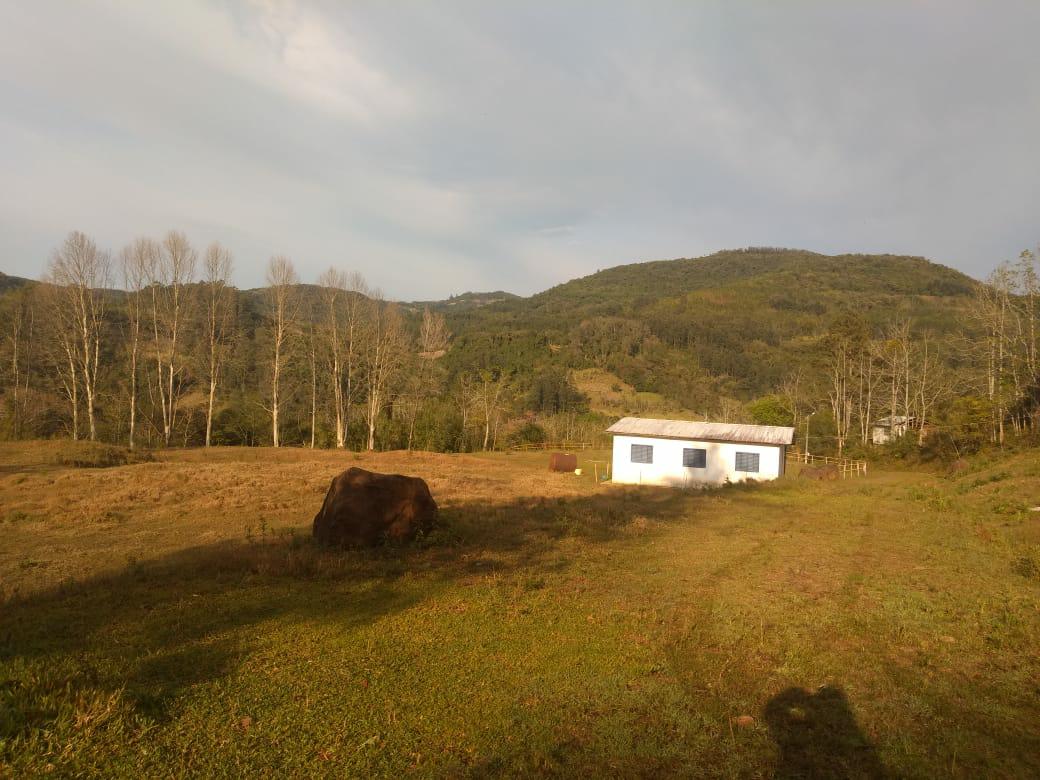 Sítio à venda com 1 quarto, 6000m² - Foto 18