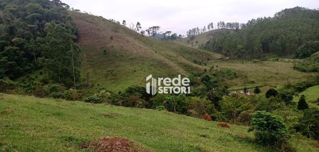 Fazenda à venda com 3 quartos, 1110000M2 - Foto 38