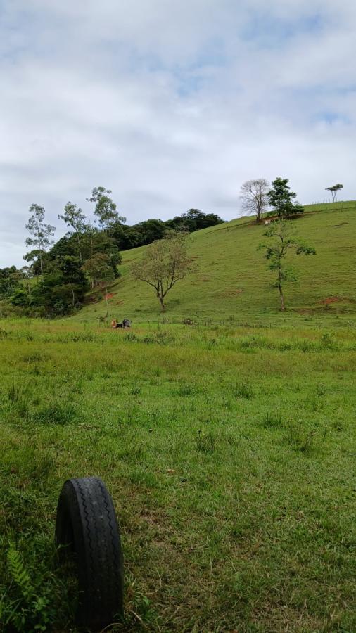 Fazenda-Sítio-Chácara, 10 hectares - Foto 2