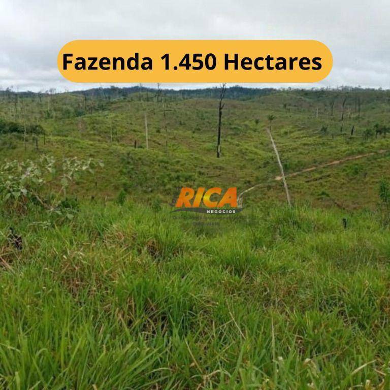 Fazenda-Sítio-Chácara, 1450 hectares - Foto 1