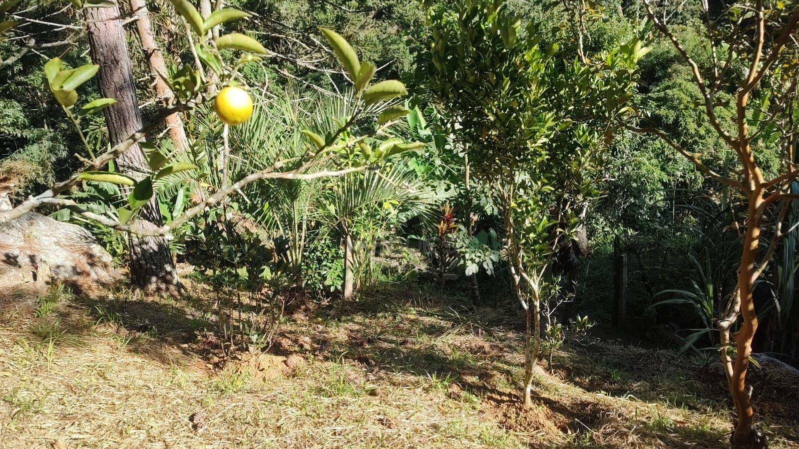 Terreno à venda, 214396M2 - Foto 12