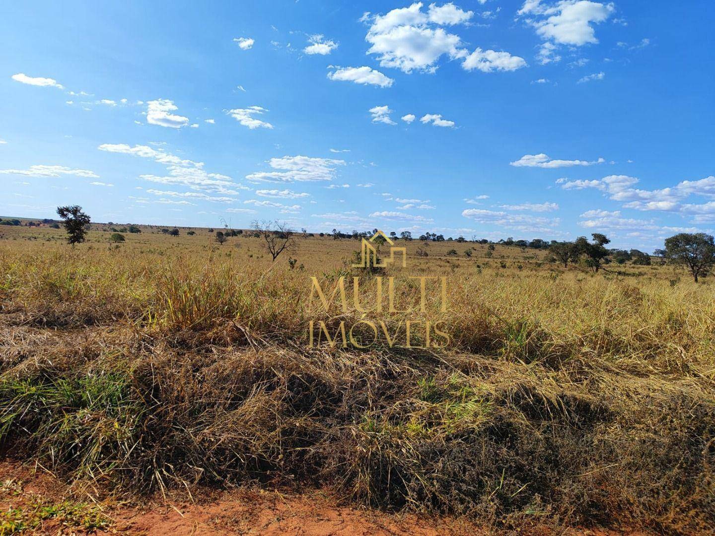 Fazenda à venda, 2976600M2 - Foto 9