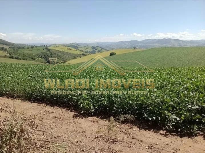 Fazenda à venda, 17m² - Foto 6